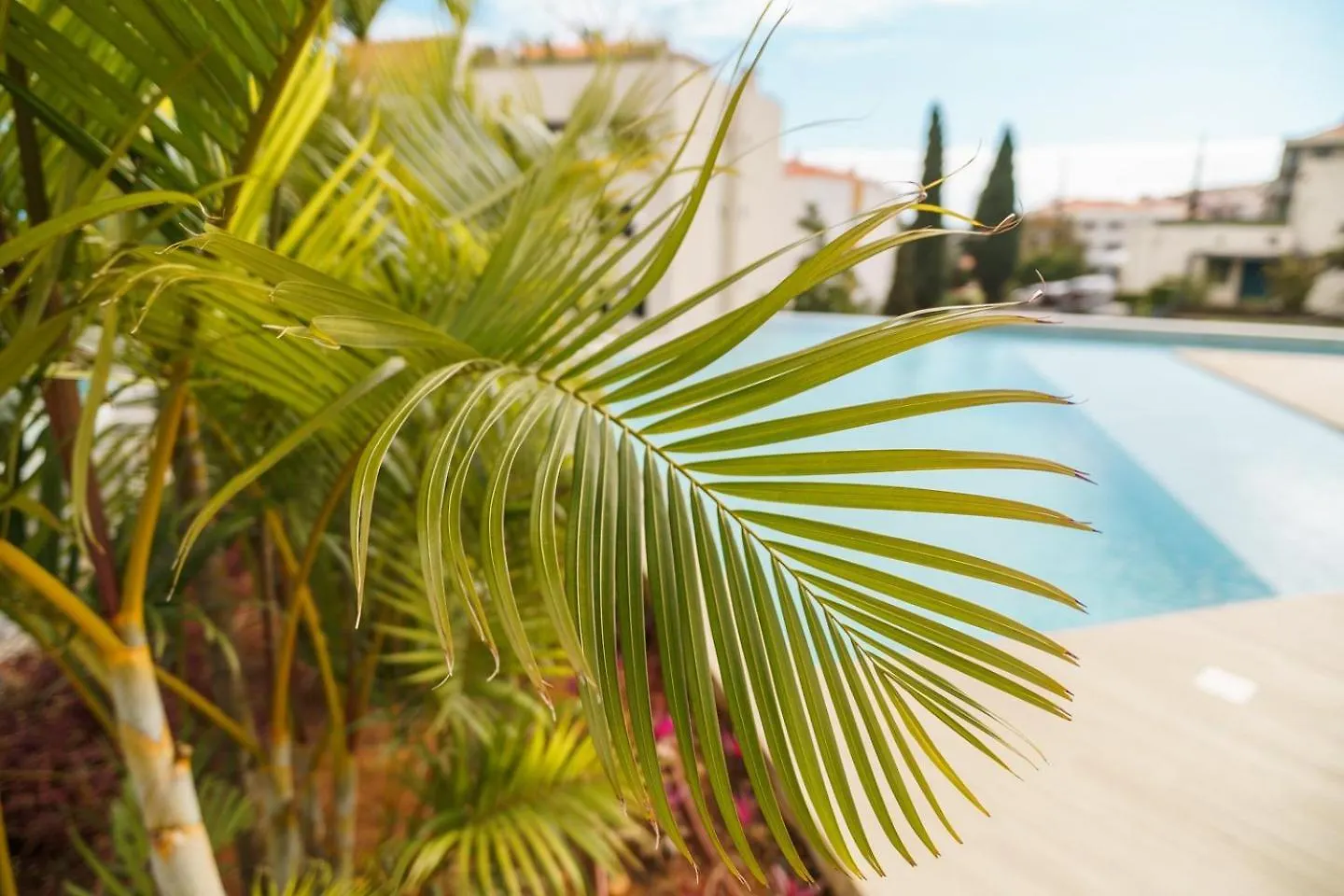 Guestready - The Perfect Place To Relax In Funchal 아파트